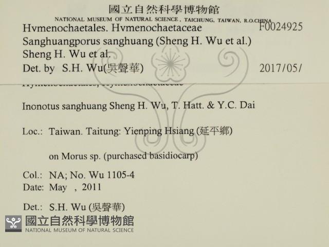 桑黃藏品圖，第2張