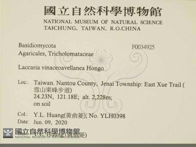 登錄號:F0034925藏品圖，第2張