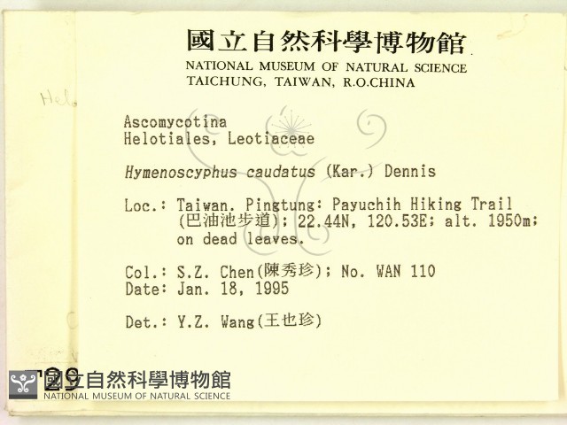 登錄號:F0002925藏品圖，第2張