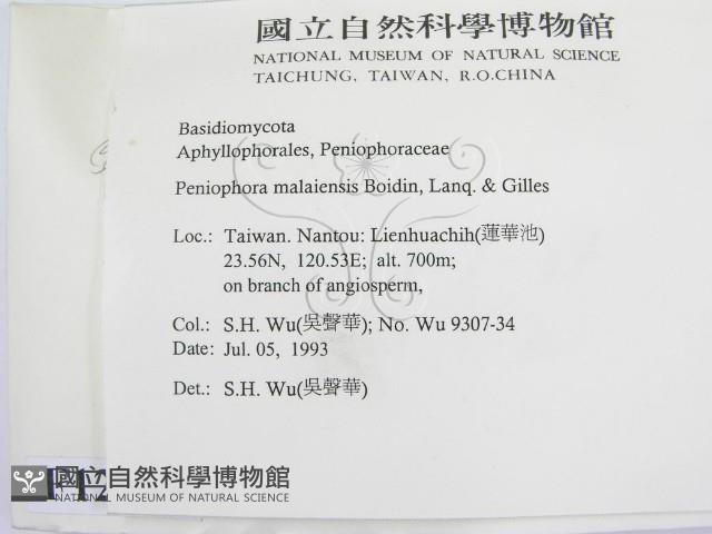 登錄號:F0012925藏品圖，第2張
