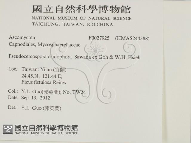 登錄號:F0027925藏品圖，第2張