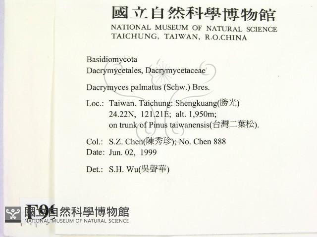 登錄號:F0009925藏品圖，第2張