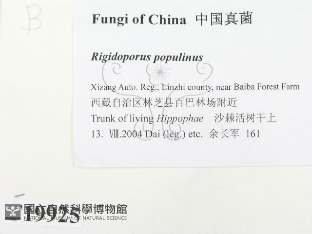 登錄號:F0019925藏品圖，第2張