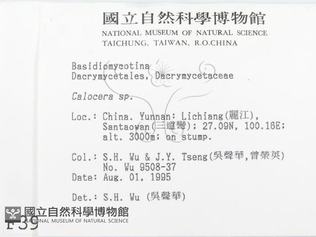 登錄號:F0003925藏品圖，第2張