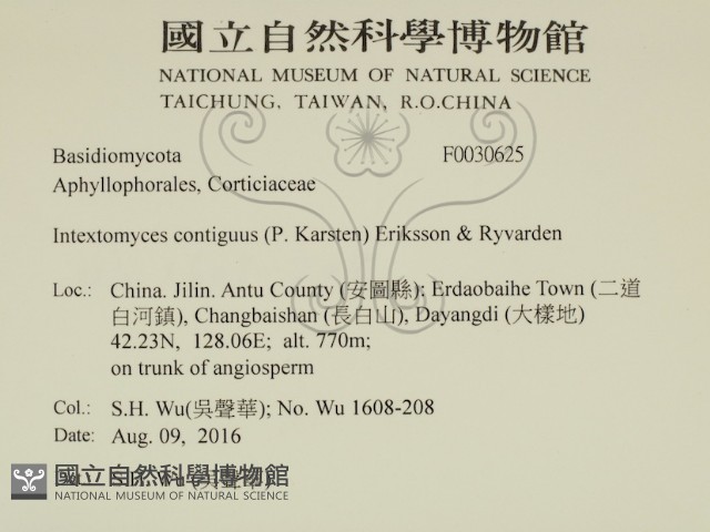 登錄號:F0030625藏品圖，第2張