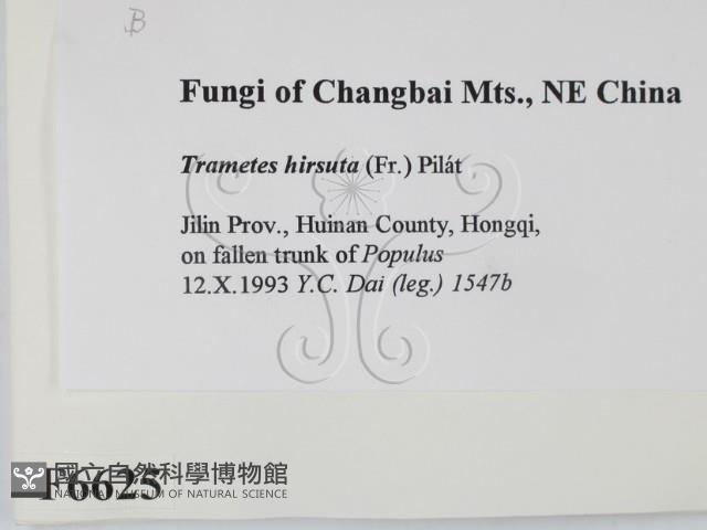 登錄號:F0006625藏品圖，第2張