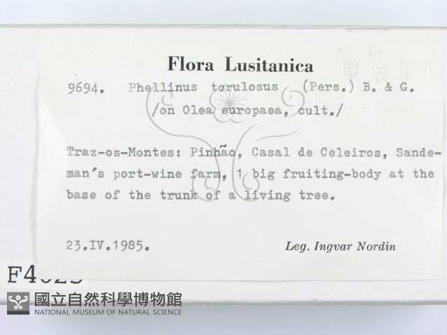 登錄號:F0004625藏品圖，第2張