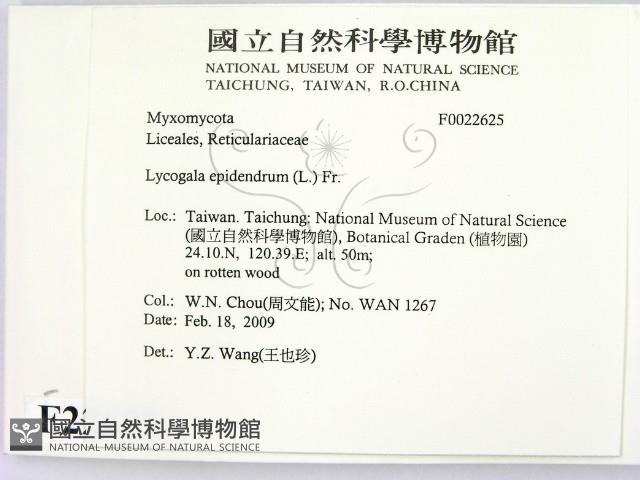 登錄號:F0022625藏品圖，第2張