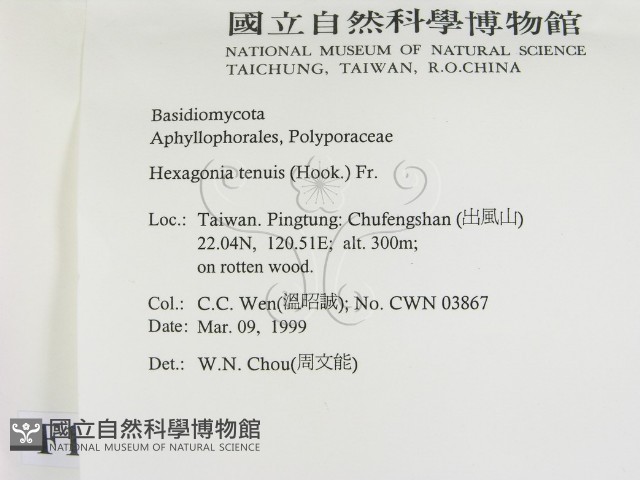 登錄號:F0012625藏品圖，第2張