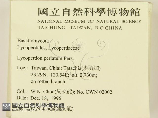 登錄號:F0005625藏品圖，第2張
