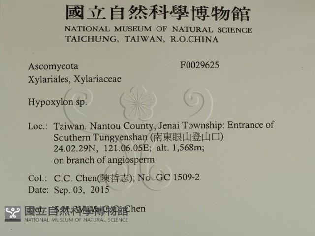 登錄號:F0029625藏品圖，第2張