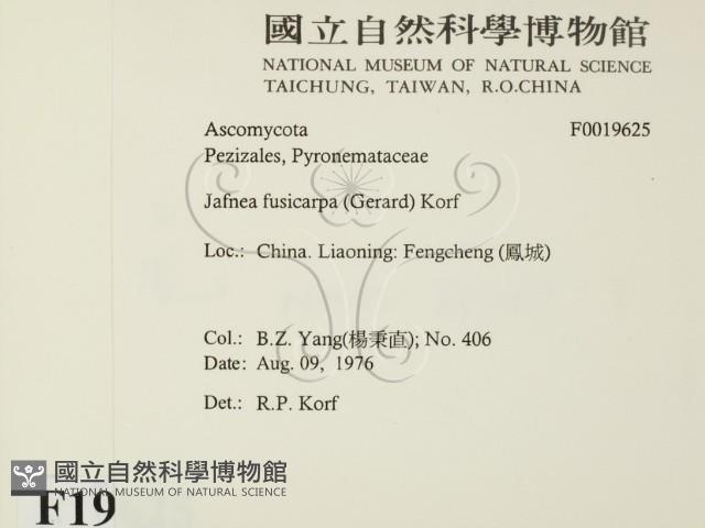 登錄號:F0019625藏品圖，第2張