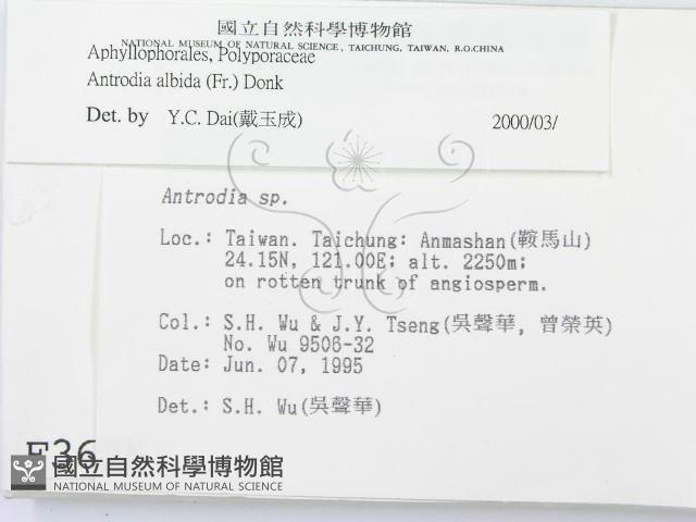 登錄號:F0003625藏品圖，第2張