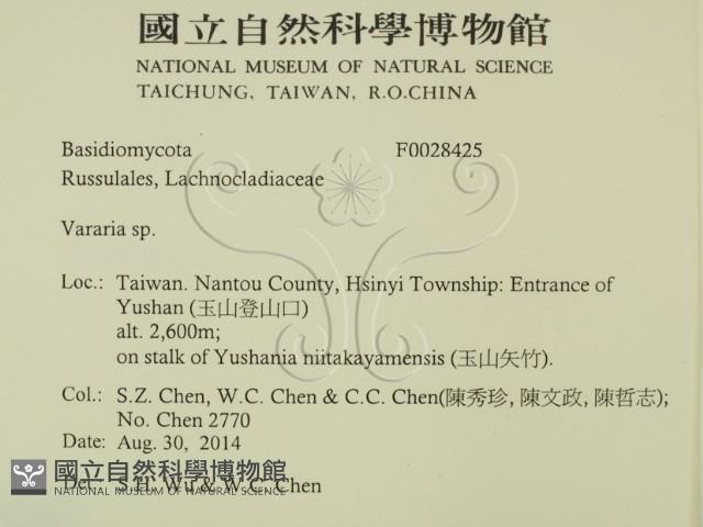 登錄號:F0028425藏品圖，第2張