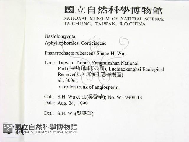 登錄號:F0010425藏品圖，第2張
