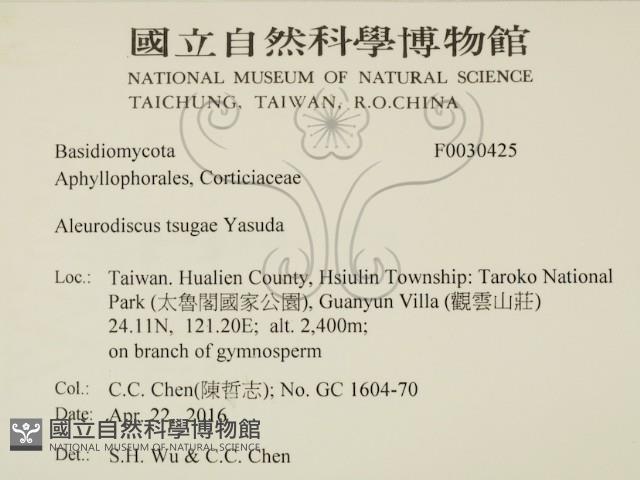 登錄號:F0030425藏品圖，第2張