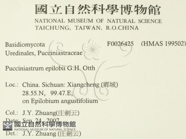 登錄號:F0026425藏品圖，第2張
