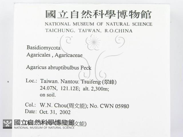 登錄號:F0016425藏品圖，第2張