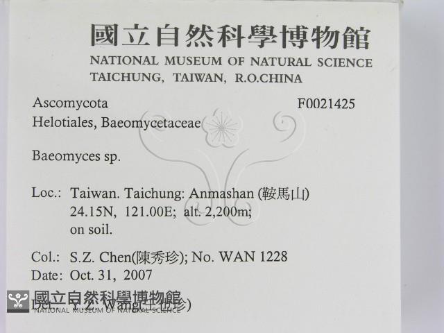 登錄號:F0021425藏品圖，第2張