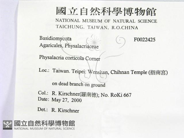 登錄號:F0022425藏品圖，第2張