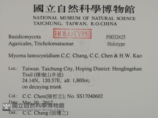 登錄號:F0032425藏品圖，第2張