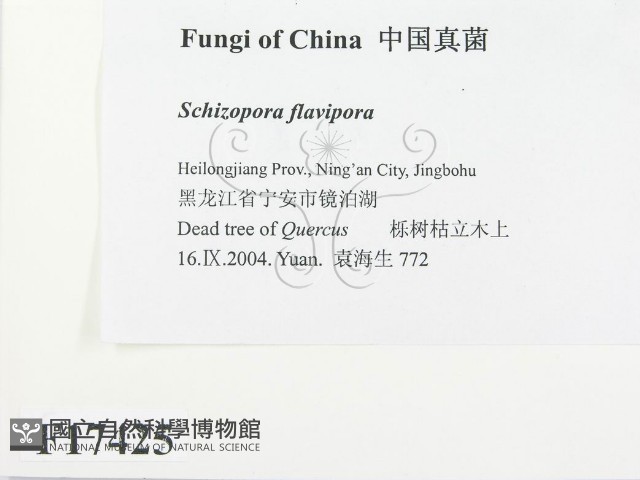 登錄號:F0017425藏品圖，第2張
