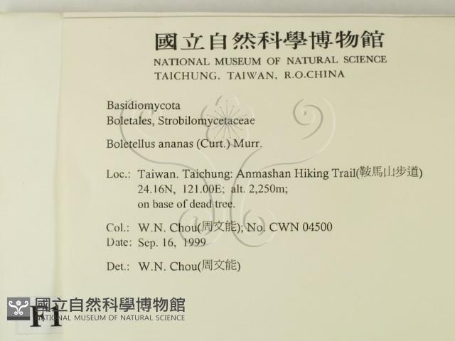 登錄號:F0013425藏品圖，第2張