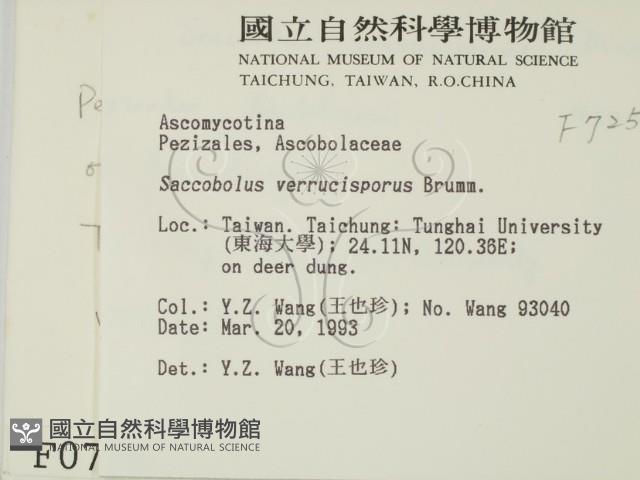 登錄號:F0000725藏品圖，第2張