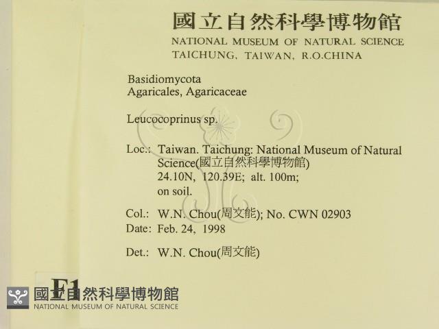 登錄號:F0010725藏品圖，第2張