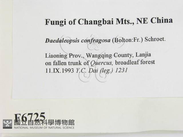 登錄號:F0006725藏品圖，第2張