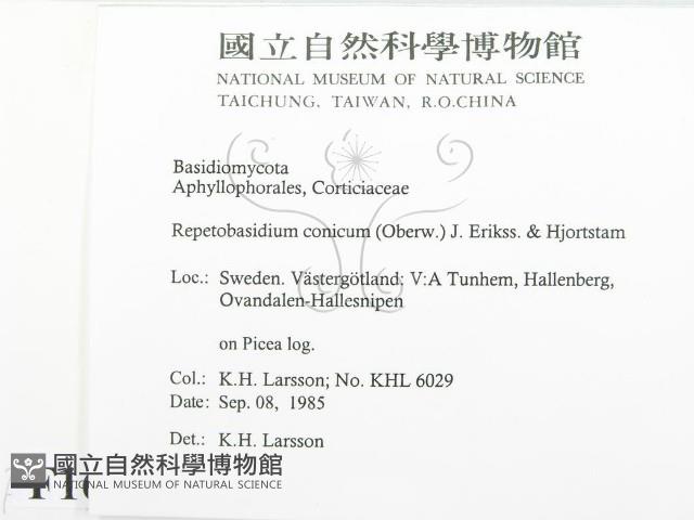 登錄號:F0016725藏品圖，第2張