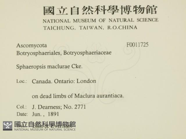 登錄號:F0011725藏品圖，第2張