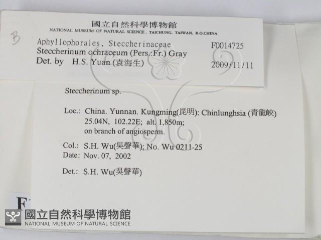 登錄號:F0014725藏品圖，第2張
