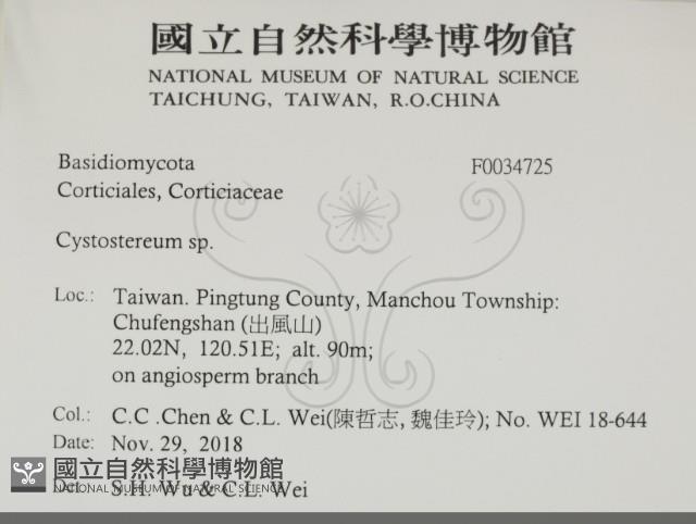 登錄號:F0034725藏品圖，第2張