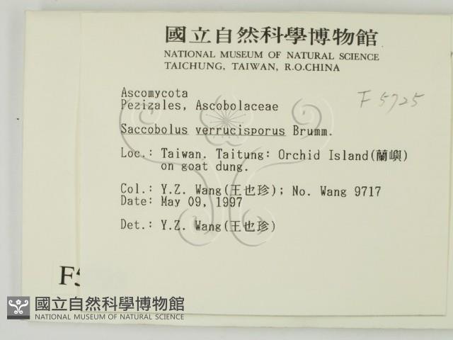 登錄號:F0005725藏品圖，第2張