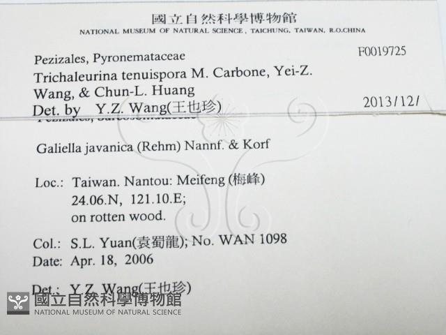 登錄號:F0019725藏品圖，第2張