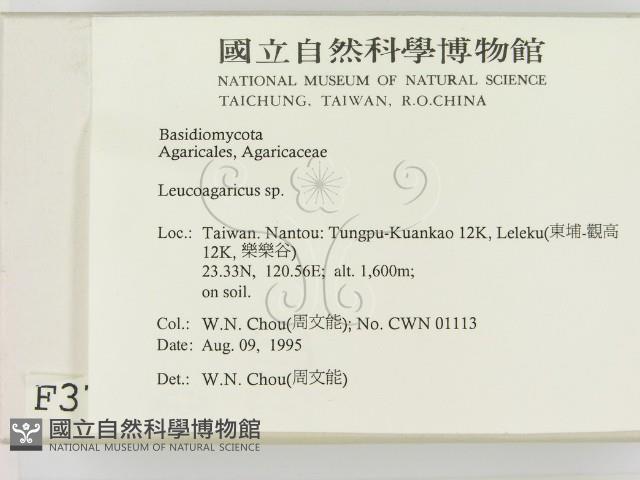 登錄號:F0003725藏品圖，第2張