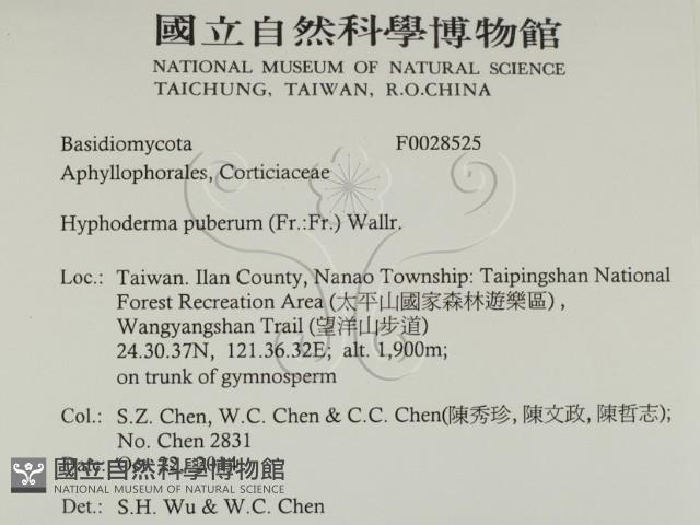 登錄號:F0028525藏品圖，第2張