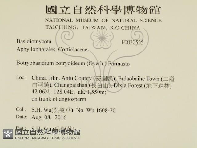 登錄號:F0030525藏品圖，第2張