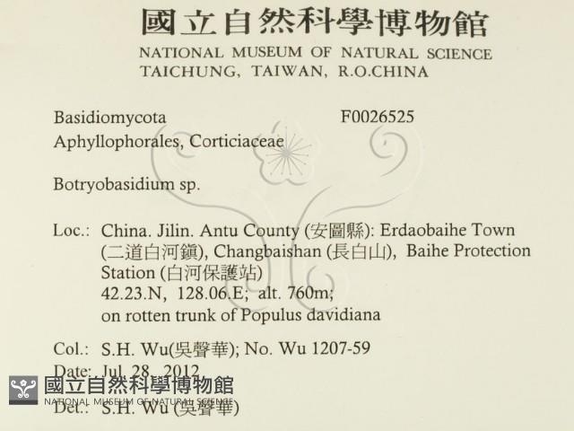 登錄號:F0026525藏品圖，第2張