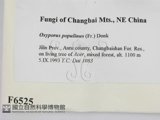 登錄號:F0006525藏品圖，第2張