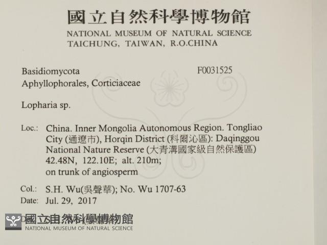 登錄號:F0031525藏品圖，第2張