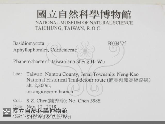 登錄號:F0034525藏品圖，第2張