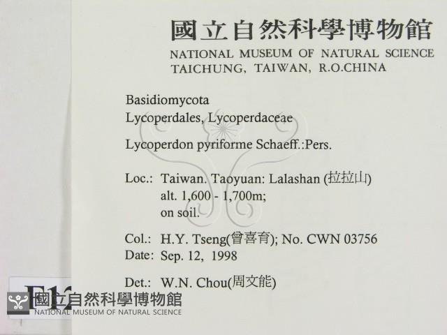登錄號:F0012525藏品圖，第2張