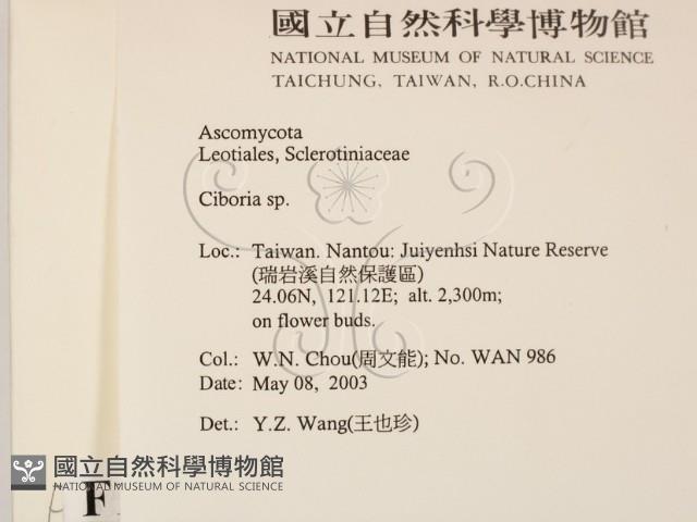 登錄號:F0015525藏品圖，第2張