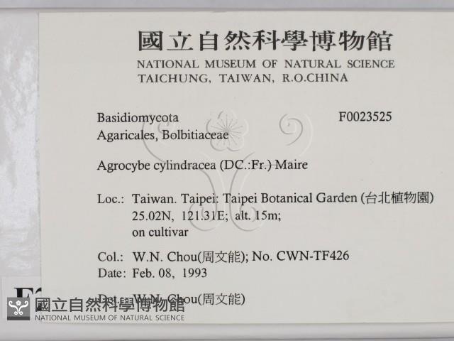 登錄號:F0023525藏品圖，第2張