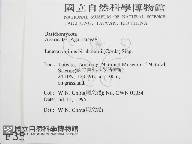 登錄號:F0003525藏品圖，第2張