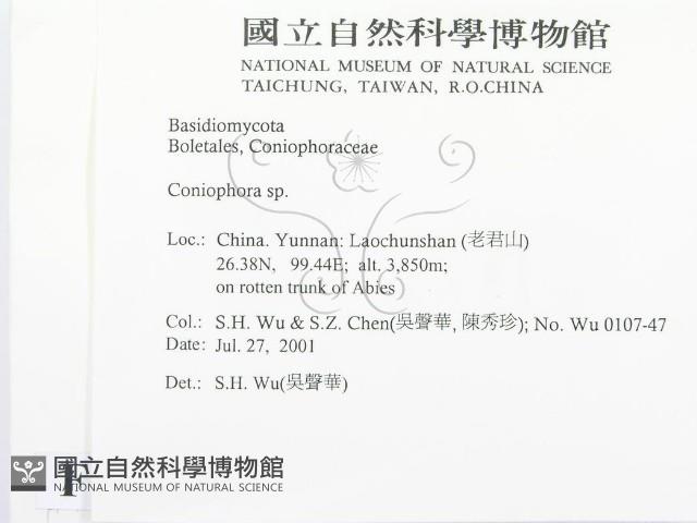 登錄號:F0013525藏品圖，第2張