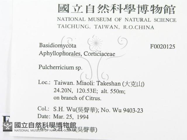 登錄號:F0020125藏品圖，第2張