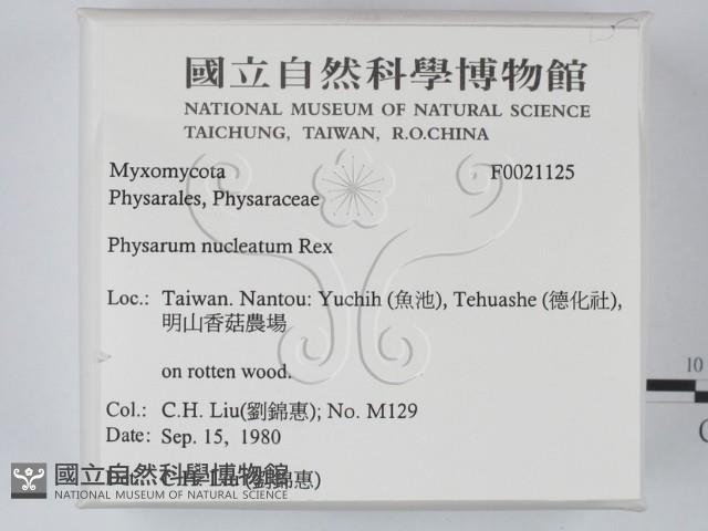 登錄號:F0021125藏品圖，第2張